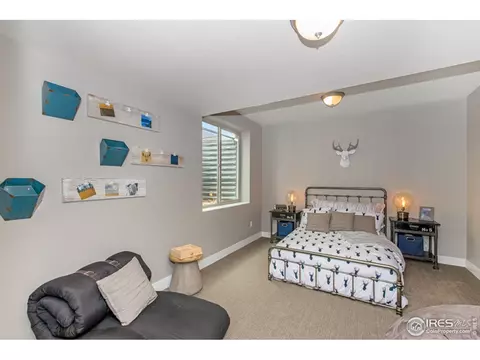 5631 Carmon Dr, Windsor, CO 80550 photo 28