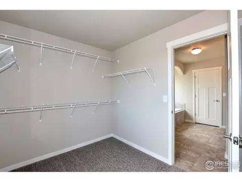 5323 Cloud Dance Dr, Timnath, CO 80547 photo 15