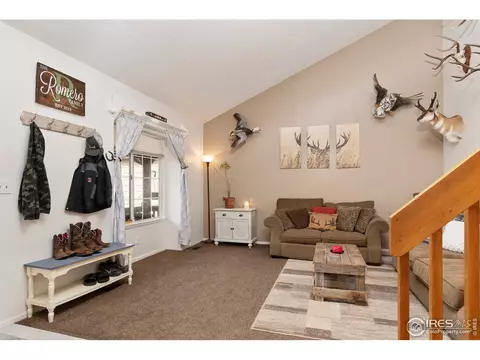 11256 Elm Dr, Thornton, CO 80233 photo 7