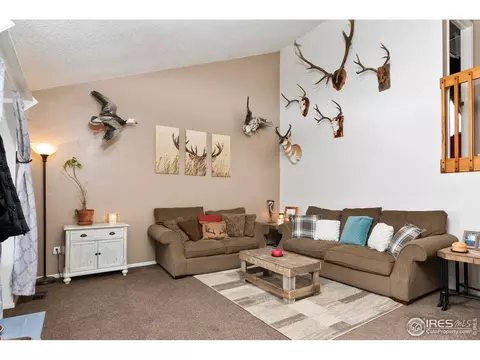 11256 Elm Dr, Thornton, CO 80233 photo 5