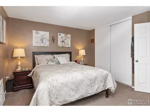 11256 Elm Dr, Thornton, CO 80233 photo 20