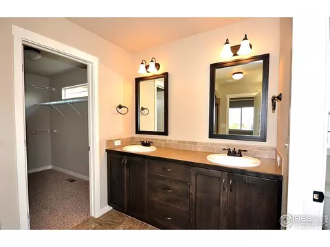 6579 Pebble Path Ct, Timnath, CO 80547 photo 14
