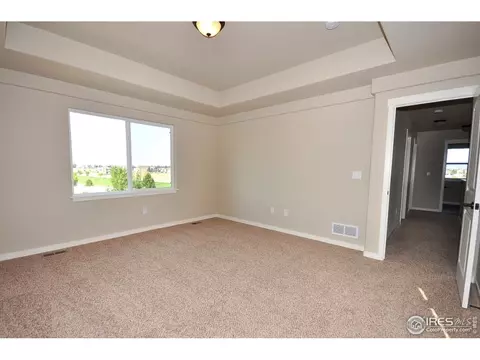 6579 Pebble Path Ct, Timnath, CO 80547 photo 15