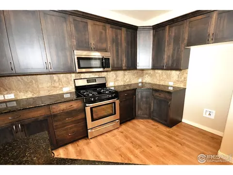 6579 Pebble Path Ct, Timnath, CO 80547 photo 5