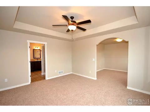 6579 Pebble Path Ct, Timnath, CO 80547 photo 11