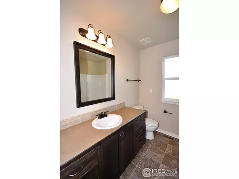 6579 Pebble Path Ct, Timnath, CO 80547 photo 13