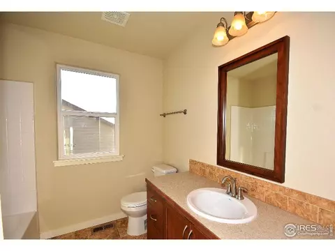 6579 Pebble Path Ct, Timnath, CO 80547 photo 16