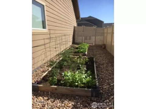 11457 Coal Ridge St, Firestone, CO 80504 photo 29