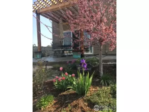 11457 Coal Ridge St, Firestone, CO 80504 photo 36