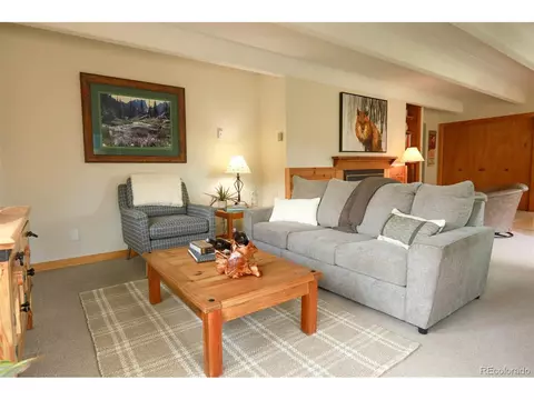 57 Copper Cir #308, Frisco, CO 80443 photo 25