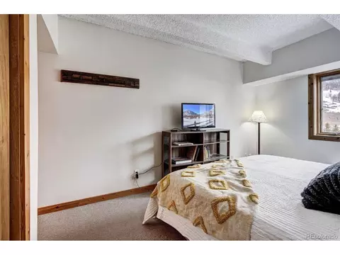 57 Copper Cir #308, Frisco, CO 80443 photo 14