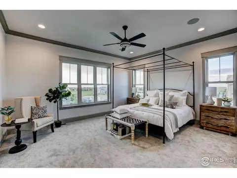 6434 Sanctuary Dr, Windsor, CO 80550 photo 25
