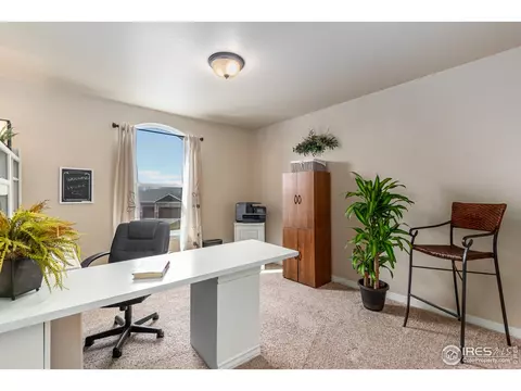 651 Babine Ct, Windsor, CO 80550 photo 17