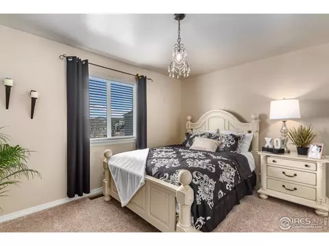 651 Babine Ct, Windsor, CO 80550 photo 13