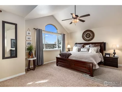 651 Babine Ct, Windsor, CO 80550 photo 10