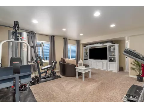 651 Babine Ct, Windsor, CO 80550 photo 29