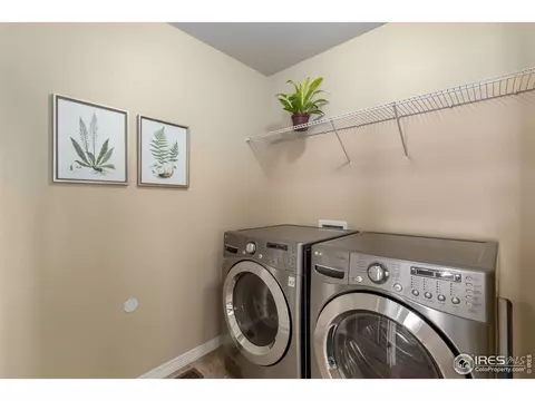651 Babine Ct, Windsor, CO 80550 photo 23