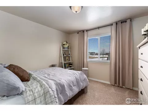 651 Babine Ct, Windsor, CO 80550 photo 15