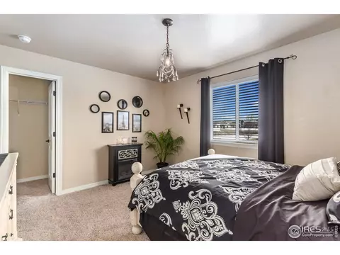 651 Babine Ct, Windsor, CO 80550 photo 14