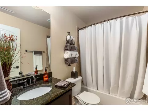 651 Babine Ct, Windsor, CO 80550 photo 22