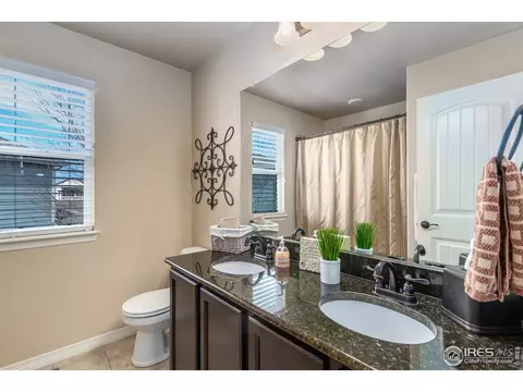 651 Babine Ct, Windsor, CO 80550 photo 20