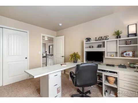 651 Babine Ct, Windsor, CO 80550 photo 16