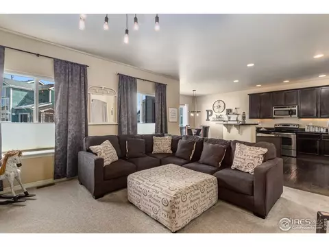 651 Babine Ct, Windsor, CO 80550 photo 3