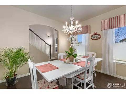 651 Babine Ct, Windsor, CO 80550 photo 27