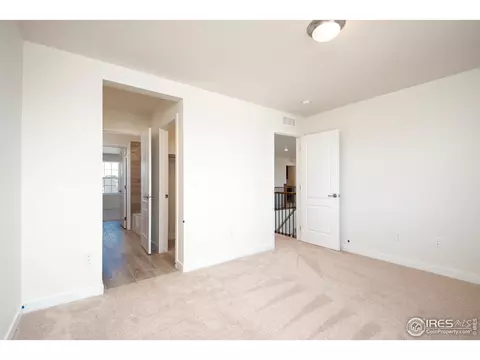 2899 Storm View Ct, Timnath, CO 80547 photo 19
