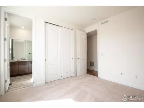2899 Storm View Ct, Timnath, CO 80547 photo 30