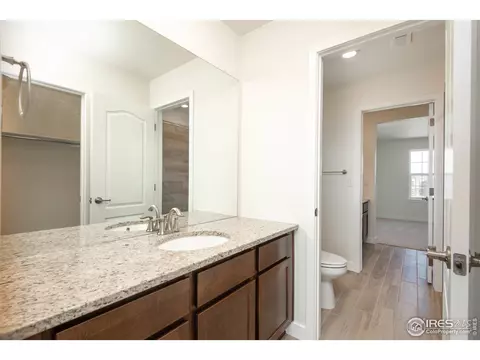 2899 Storm View Ct, Timnath, CO 80547 photo 23