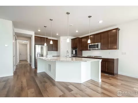 2899 Storm View Ct, Timnath, CO 80547 photo 7