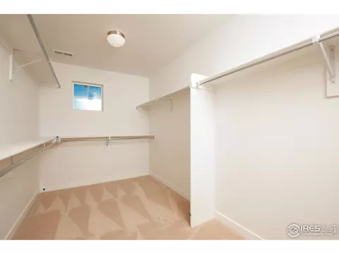 2899 Storm View Ct, Timnath, CO 80547 photo 32