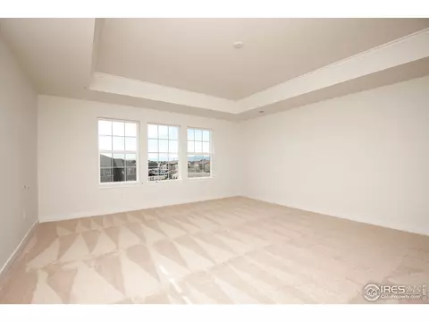2899 Storm View Ct, Timnath, CO 80547 photo 18