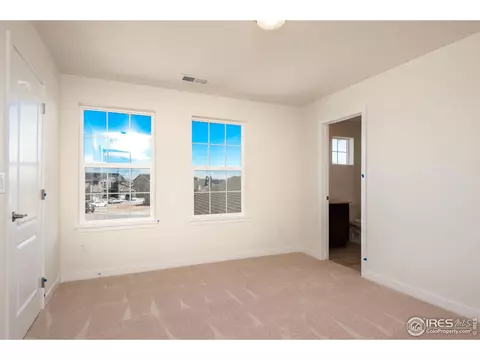 2899 Storm View Ct, Timnath, CO 80547 photo 29