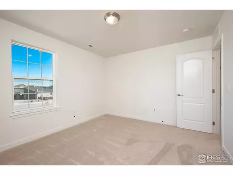 2899 Storm View Ct, Timnath, CO 80547 photo 27