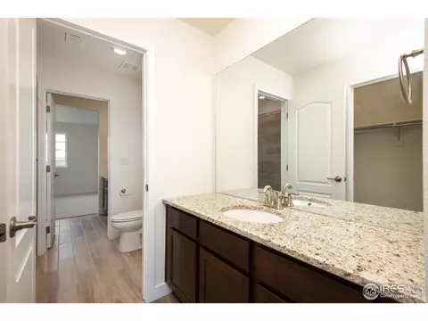 2899 Storm View Ct, Timnath, CO 80547 photo 24