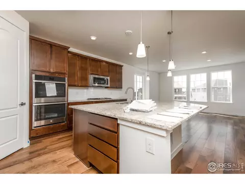 2899 Storm View Ct, Timnath, CO 80547 photo 8