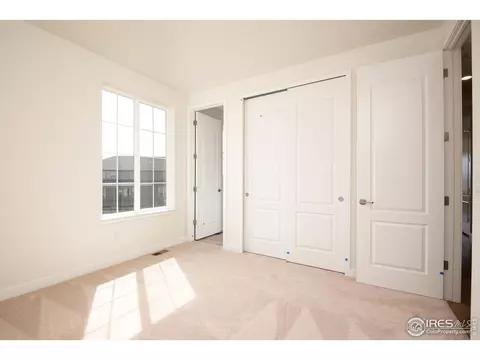 2899 Storm View Ct, Timnath, CO 80547 photo 31