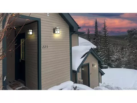 223 S Fuller Placer Rd #4, Breckenridge, CO 80424