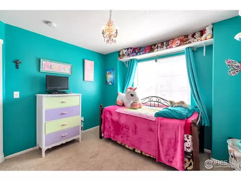 5387 Rustic Ave, Longmont, CO 80504 photo 16