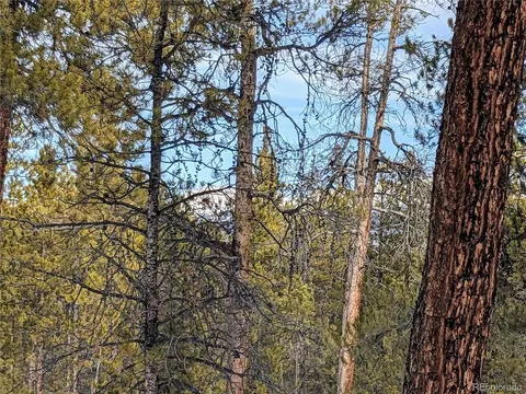 995 Sequoia Dr, Twin Lakes, CO 81251