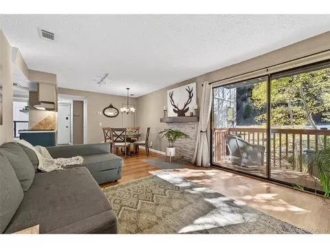 1901 Clear Creek Dr #B204, Georgetown, CO 80444