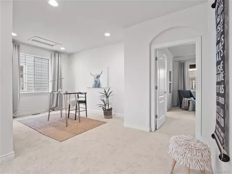 9065 E 29th Pl, Denver, CO 80238 photo 19