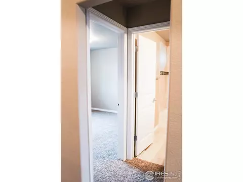 1377 Copeland Falls Rd, Windsor, CO 80550 photo 7