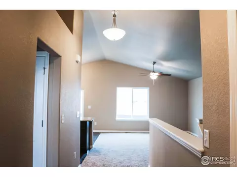 1377 Copeland Falls Rd, Windsor, CO 80550 photo 3