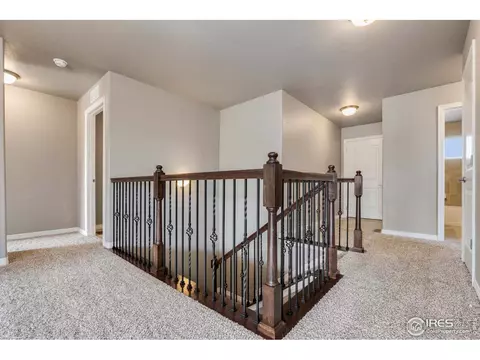 1371 Copeland Falls Rd, Windsor, CO 80550 photo 4