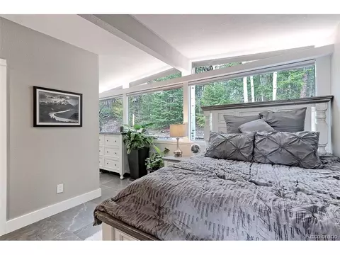 26006 Rea Ave, Conifer, CO 80433 photo 12