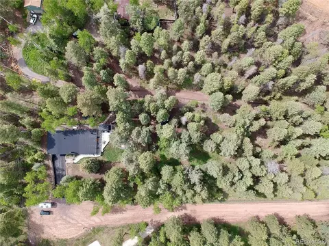 26006 Rea Ave, Conifer, CO 80433 photo 38
