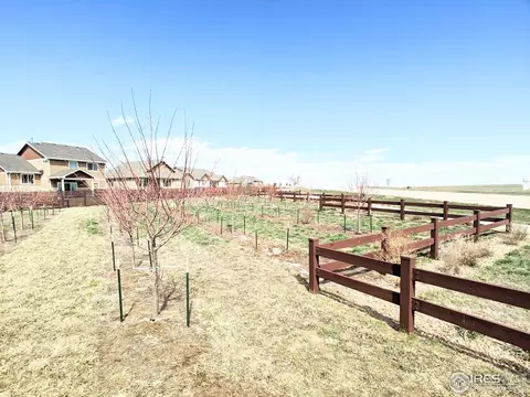 714 Corn Stalk Ct, Windsor, CO 80550 photo 35
